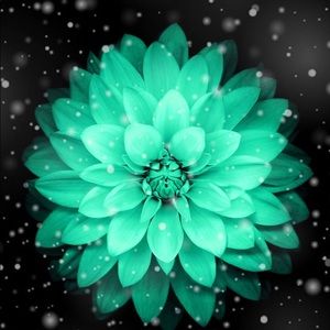 Meet your Posher, Lesli